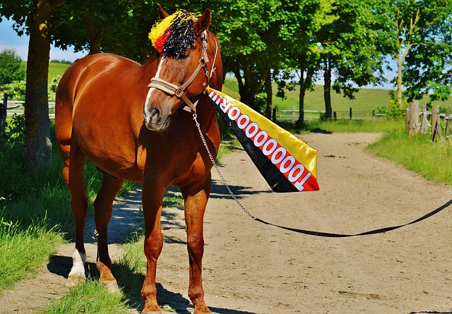 萨里：看到空荡荡的看台，我有些难过